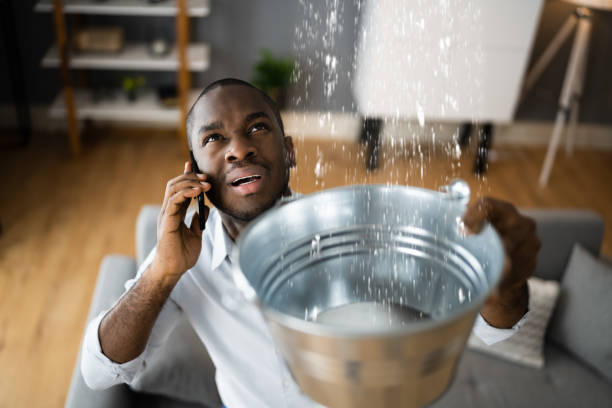 Best Water damage restoration near me  in Hamilton, MO