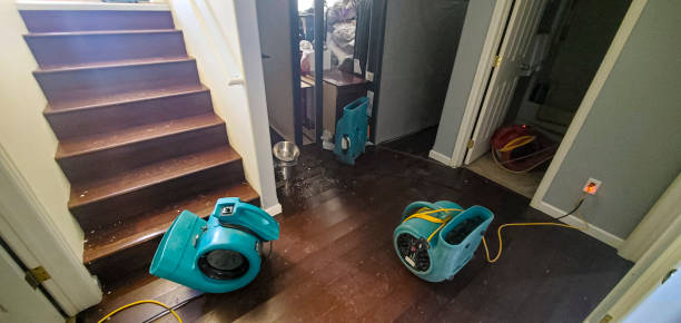  Hamilton, MO Water damage restoration Pros