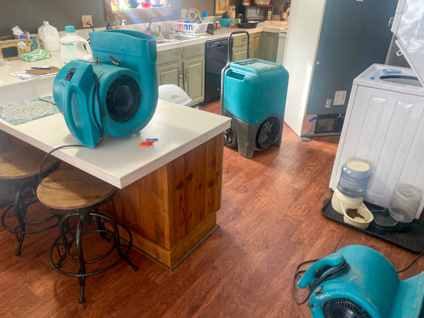 Best Commercial water damage restoration  in Hamilton, MO