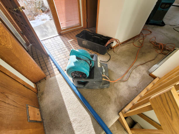 Professional Water damage restoration in Hamilton, MO