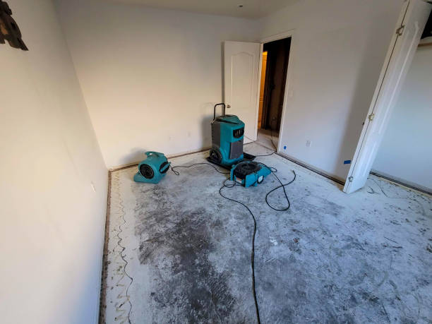 Best Emergency water damage restoration  in Hamilton, MO