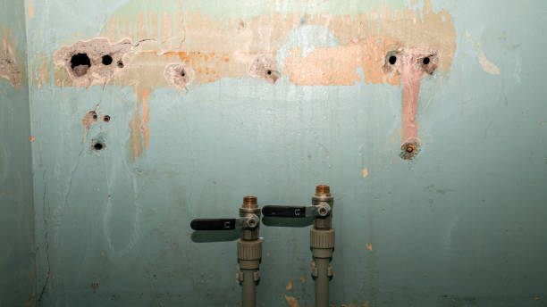 Best Flooded house restoration  in Hamilton, MO