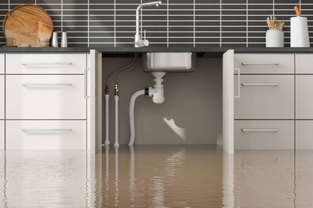 Best Sewage cleanup and water damage restoration  in Hamilton, MO