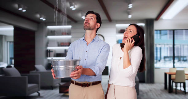 Best Water damage contractors near me  in Hamilton, MO