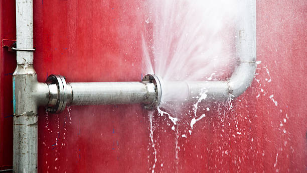Best Water damage contractors near me  in Hamilton, MO