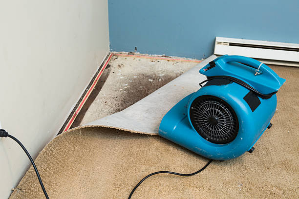 Fire Damage Restoration in Hamilton, MO