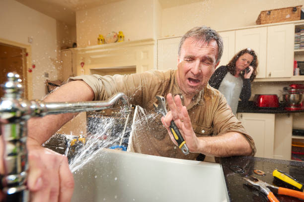 Best Professional water damage repair  in Hamilton, MO